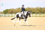 SBM_007947