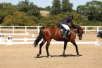 SBM_002913
