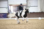 SBM_017267