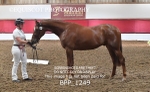 BPP_1249