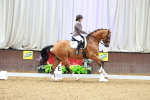 SBM_003816