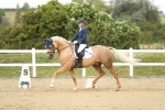 SBM_018493