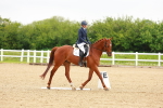 SBM_005636