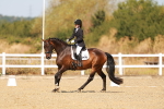 SBM_017698