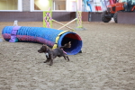 SBM_004500