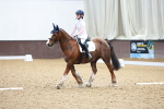 SBM_007618