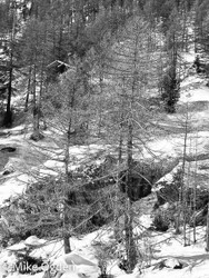 The Alps portfolio