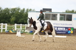 SBM_001043