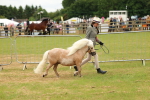 SBM_03494