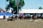 3HRodeo8-11-25_PRCASteer_01200_