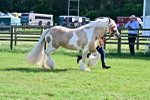 SBM_10183