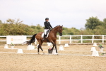 SBM_004495