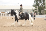 SBM_14768
