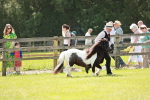 SBM_02501