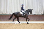 SBM_003494