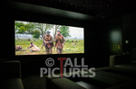 High Quality Home Cinema-7