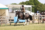 SBM_17871
