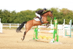 SBM_006890