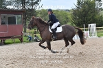 BPP_6855