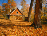 Istock #14104024