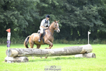 660-Tony_Collins-HAYESTOWN_COOLCRONAN_PRINCE portfolio