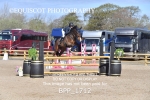 BPP_1712