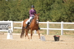SBM_014749