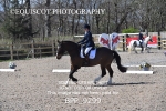 BPP_9299
