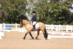 SBM_03599