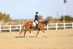 SBM_009074