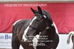 JAC_5491