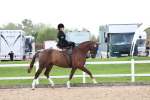 SBM_03181