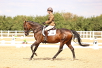 SBM_013781
