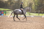 Unaffiliated Dressage portfolio