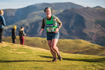 Sale Fell-401