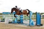 Class 20 - Senior Foxhunter - 1.20m portfolio
