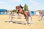 SBM_007581