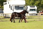 SBM_00675