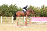 SBM_006311