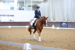 SBM_002353