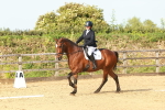 SBM_000279
