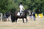 WJ7_9564