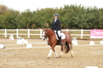 SBM_001332