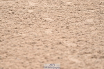 240720A-114050-14546