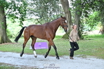 C-272-Louisa.Lockwood-KILCANNON.OREO portfolio