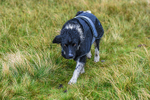 Matterdale-607