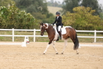 SBM_01660