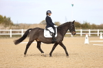 SBM_010221