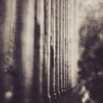 Extracts from Unconscious Muse