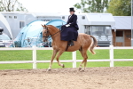 SBM_03421